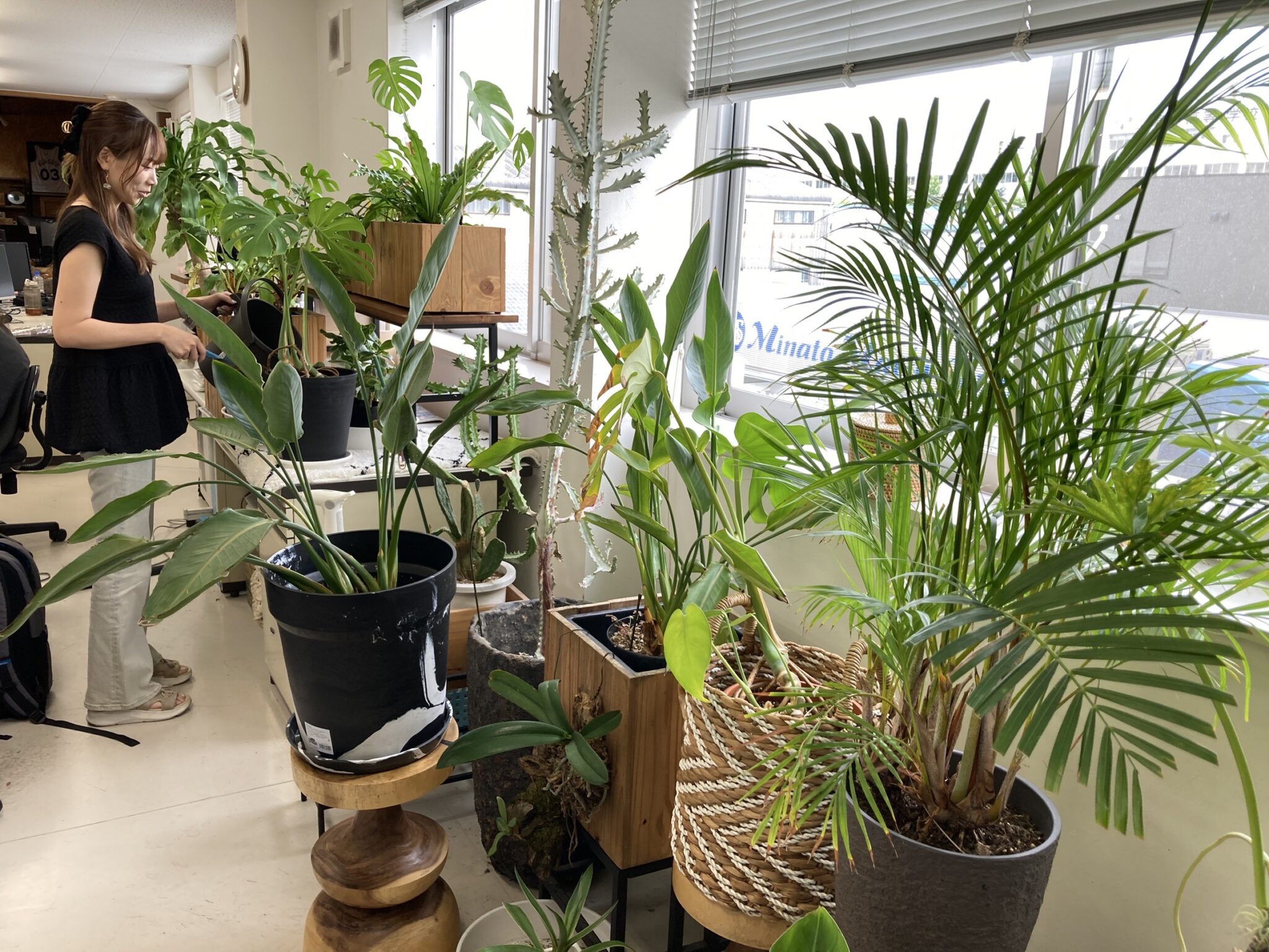 植物が育つオフィス。心地よい環境づくりへの取り組み